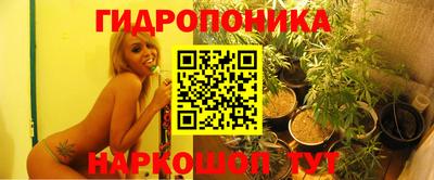 Альфа ПВП Тара