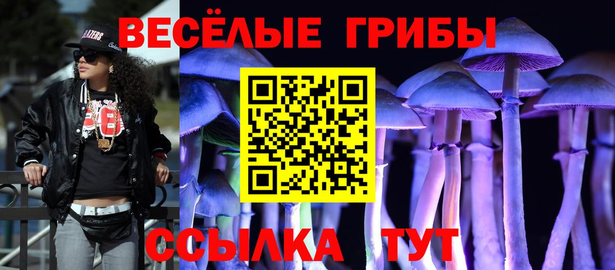 МЕФ Александров